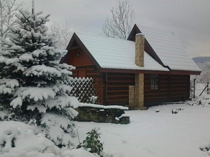 Agroturystyka W Ogrodach Sanok Buitenkant foto