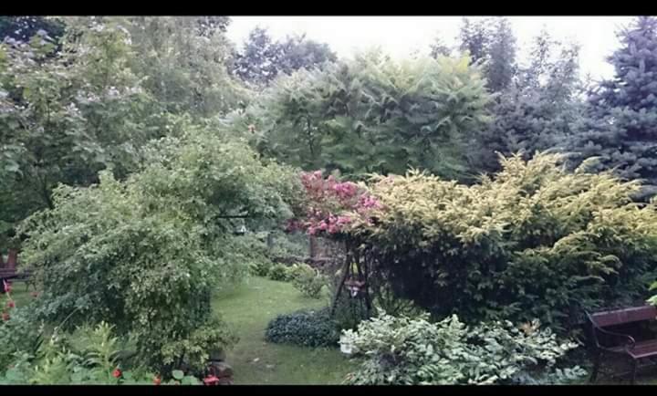 Agroturystyka W Ogrodach Sanok Buitenkant foto